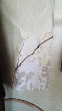 По стенам пошли трещины