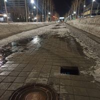 Пришла весна