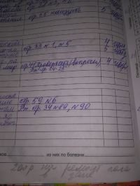 В доказательство поборов Наталья Лазарева привела фотографию дневника
