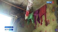 Стены внутри покрылись плесенью