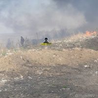 Также горела трава