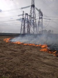 Пожар, потушенный Олегом Борониным