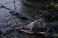 Горожане заметили подозрительный сток