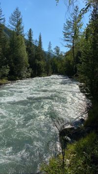 Река оказалась очень бурной