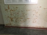 Стены в отделении