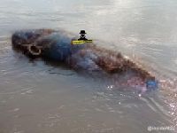 Позже его тело обнаружили в реке