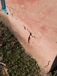 Стены покрыты трещинами