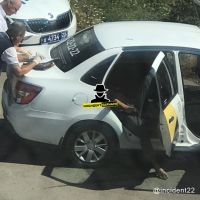 Правоохранители разбираются в случившемся