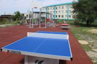 Есть претензии и к теннисному столу