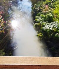 Побелевшая Пивоварка