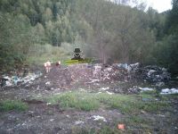 На стихийную помойку забредает скот