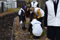 Форма одежды - рабочая