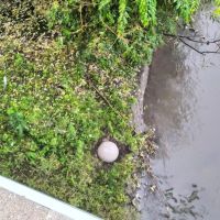 До воды шар не долетел совсем немного