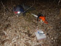 Лесорубы побросали бензопилы в попытке скрыться от полиции