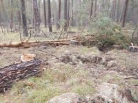 Следы деятельности преступников