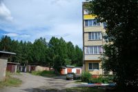 Лес у домов в Заречье