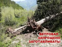 Министерство иллюстрирует отличия