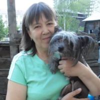 «Нет собаки - нет проблем»: алтайские зооактивисты и политики попытались найти решение проблемы бродячих животных