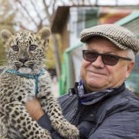 «Нет собаки - нет проблем»: алтайские зооактивисты и политики попытались найти решение проблемы бродячих животных