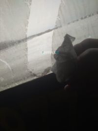 Копоть в салоне