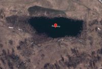 На картах Google видны поваленные деревья