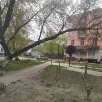 Фотографии сквера после обрезки