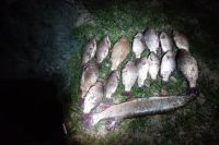 Изъятая рыба