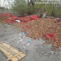 Свалка гнилого лука