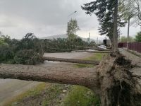 Последствия урагана