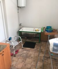 Антисанитария