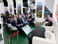 Международный экономический форум в Санкт-Петербурге