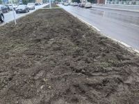 Ее почему-то решили обновить и вскопали