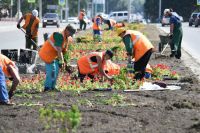 Муниципальные работники внедрили несколько новаций в ландшафтный дизайн города