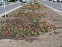 Промежуточный итог таков