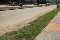 Здесь не планируются ни бордюры, ни нормальная зелень