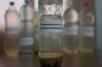 Воду привезли из разных уголков региона