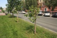 У наблюдателей есть сомнения<span style=