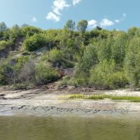 Похоже, что отходы здесь льют уже давно