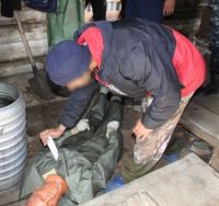 Реконструкция произошедшего