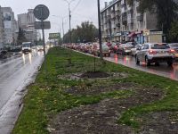 Высадки на Молодежной