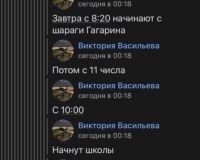 Сообщения в школьных чатах