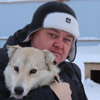 «Ситуация не про собак, а про людей»: эксперты из Алтайского края обсудили проблему бездомных животных и возврат к их умерщвлению