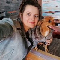 «Ситуация не про собак, а про людей»: эксперты из Алтайского края обсудили проблему бездомных животных и возврат к их умерщвлению