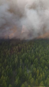 Вид на пожар