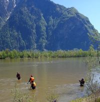 Поисковые мероприятия