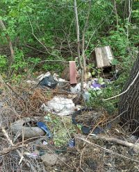 Следы жизнедеятельности