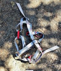 Девочка едва не не погибла в веревочном парке в Новоалтайске