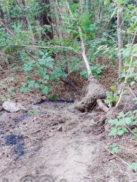 Горожане нашли в лесу прикопанный асфальт