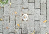 Разбитые фонари