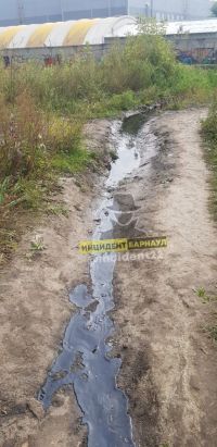 Что именно сливают за гипермаркетом выяснит прокуратура